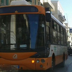 bus2