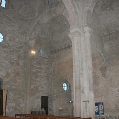 Duomo di Molfetta