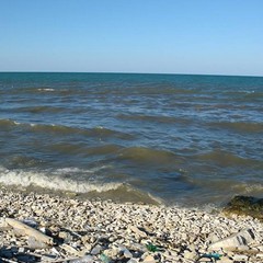 Schiuma e fanghi in mare a ridosso del depuratore