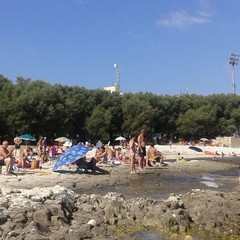 Ferragosto in Prima Cala