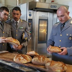 I controlli degli uomini del Corpo Forestale