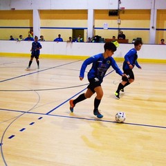 Sollecito in azione con la Futsal Bisceglie