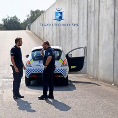 A volto coperto nel centro commerciale di Molfetta, sparano per coprirsi la fuga