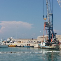 Recuperato il peschereccio affondato nel porto di Molfetta