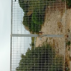 Park club e spiagge libere
