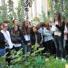 festa dell'albero 2016 liceo classico