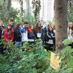 festa dell'albero 2016 liceo classico