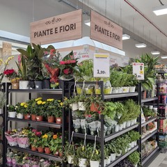 Inaugurato oggi l’Ipercoop di Molfetta, dopo il restyling da 3 milioni e mezzo di euro