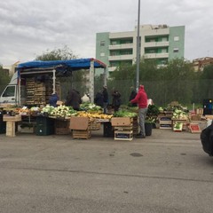 Illegalità diffusa, fra «occupazioni abusive e omissioni delle istituzioni»