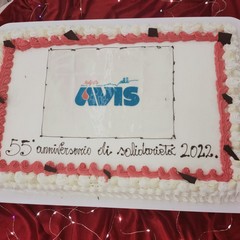 Avis Molfetta