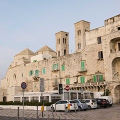 Cespuglio su torre del Duomo