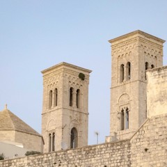 Cespuglio su torre del Duomo