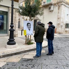 Amnesty marzo