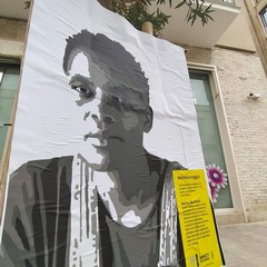 Amnesty marzo