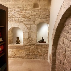 archivio finocchiaro b
