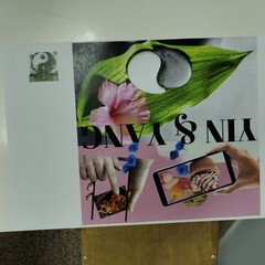 Arte gioco e design a Molfetta la scuola incontra il territorio
