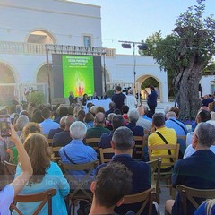 La cicoria puntarelle molfettese, eccellenza del territorio, pronta per il marchio IGP