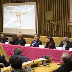 Presentata tappa molfettese del Giro d'Italia