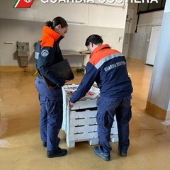 Pesca illegale al largo di Molfetta: sanzioni e sequestri
