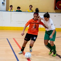 Makula Molfetta ai quarti di finale di Coppa Puglia