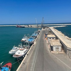 Faro Molfetta