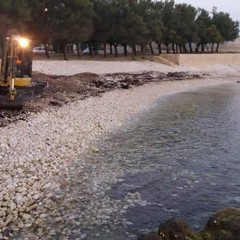 Prima Cala