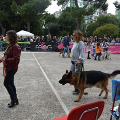 Festa del Bastardino 2016