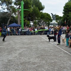 Festa del Bastardino 2016