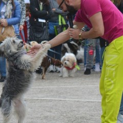 Festa del Bastardino 2016