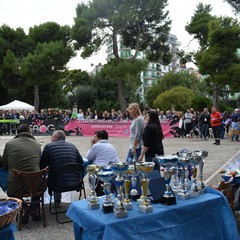 Festa del Bastardino 2016