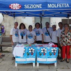 Festa del Volontariato