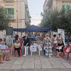 Festa del volontariato a Molfetta