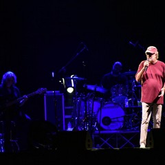 Francesco De Gregori a Molfetta