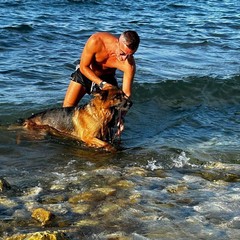 Giornata del cane MolfettaViva