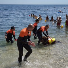 Giornata mondiale delle tartarughe a Molfetta