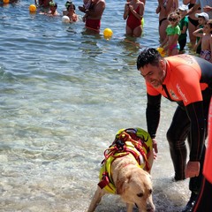 Giornata mondiale delle tartarughe a Molfetta