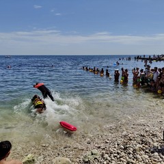 Giornata mondiale delle tartarughe a Molfetta