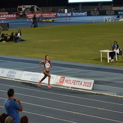 Giorno assoluti di atletica