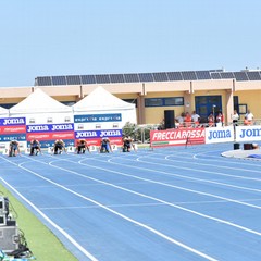 Giorno assoluti di atletica Molfetta