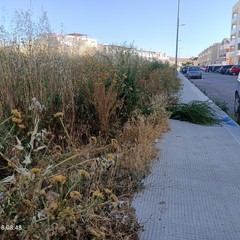 Erba, ratti e rifiuti: degrado nella nuova zona di espansione