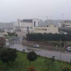 Neve a Levante