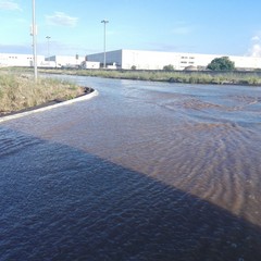 Zona industriale di Molfetta allagata