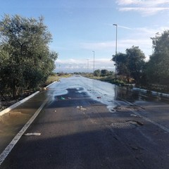 Zona industriale di Molfetta allagata