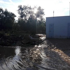 Zona industriale di Molfetta allagata