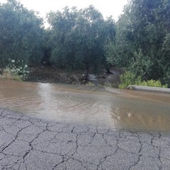 Zona industriale di Molfetta allagata