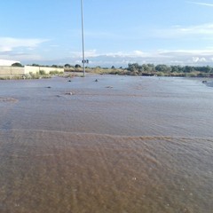 Zona industriale di Molfetta allagata