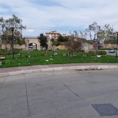 Rifiuti