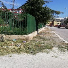 Ponente