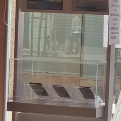 Coronavirus ma Molfetta per strada