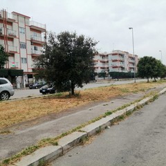 Interventi